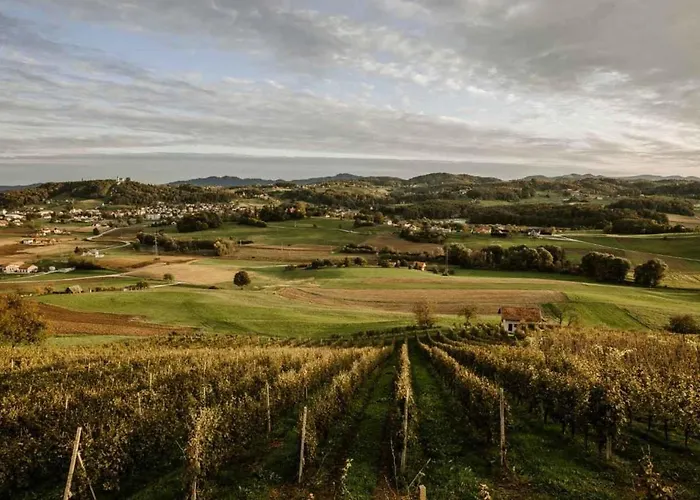 In Stajerska Untersteiermark 26087 * Smarje pri Jelsah
